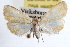  ( - RBMIS-0872)  @14 [ ] CreativeCommons - Attribution (2009) Unspecified Centre for Biodiversity Genomics