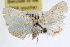  ( - RBMIS-0873)  @14 [ ] CreativeCommons - Attribution (2009) Unspecified Centre for Biodiversity Genomics