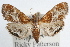  ( - RBMIS-0901)  @11 [ ] CreativeCommons - Attribution (2009) Unspecified Centre for Biodiversity Genomics