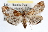  ( - RBMIS-0904)  @14 [ ] CreativeCommons - Attribution (2009) Unspecified Centre for Biodiversity Genomics