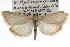  ( - RBMIS-0924)  @14 [ ] CreativeCommons - Attribution (2009) Unspecified Centre for Biodiversity Genomics