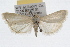  ( - RBMIS-0925)  @14 [ ] CreativeCommons - Attribution (2009) Unspecified Centre for Biodiversity Genomics