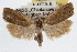  ( - RBMIS-0943)  @14 [ ] CreativeCommons - Attribution (2009) Unspecified Centre for Biodiversity Genomics