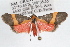  ( - RBMIS-1024)  @11 [ ] CreativeCommons - Attribution (2009) Unspecified Centre for Biodiversity Genomics