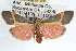  ( - RBMIS-1025)  @14 [ ] CreativeCommons - Attribution (2009) Unspecified Centre for Biodiversity Genomics