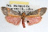  ( - RBMIS-1026)  @14 [ ] CreativeCommons - Attribution (2009) Unspecified Centre for Biodiversity Genomics