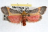  ( - RBMIS-1027)  @15 [ ] CreativeCommons - Attribution (2009) Unspecified Centre for Biodiversity Genomics