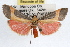  ( - RBMIS-1028)  @14 [ ] CreativeCommons - Attribution (2009) Unspecified Centre for Biodiversity Genomics