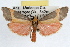  ( - RBMIS-1029)  @14 [ ] CreativeCommons - Attribution (2009) Unspecified Centre for Biodiversity Genomics