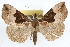  ( - RBMIS-1072)  @15 [ ] CreativeCommons - Attribution (2009) Unspecified Centre for Biodiversity Genomics