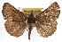  ( - RBMIS-1074)  @14 [ ] CreativeCommons - Attribution (2009) Unspecified Centre for Biodiversity Genomics