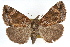  ( - RBMIS-1077)  @13 [ ] CreativeCommons - Attribution (2009) Unspecified Centre for Biodiversity Genomics