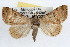  ( - RBMIS-1110)  @13 [ ] CreativeCommons - Attribution (2009) Unspecified Centre for Biodiversity Genomics