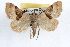  ( - RBMIS-1112)  @13 [ ] CreativeCommons - Attribution (2009) Unspecified Centre for Biodiversity Genomics