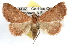  ( - RBMIS-1117)  @13 [ ] CreativeCommons - Attribution (2009) Unspecified Centre for Biodiversity Genomics