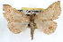  ( - RBMIS-1119)  @14 [ ] CreativeCommons - Attribution (2009) Unspecified Centre for Biodiversity Genomics