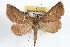  ( - RBMIS-1120)  @14 [ ] CreativeCommons - Attribution (2009) Unspecified Centre for Biodiversity Genomics