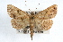  ( - RBMIS-1122)  @14 [ ] CreativeCommons - Attribution (2009) Unspecified Centre for Biodiversity Genomics