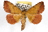  ( - RBMIS-1126)  @15 [ ] CreativeCommons - Attribution (2009) Unspecified Centre for Biodiversity Genomics