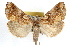  ( - RBMIS-1194)  @13 [ ] CreativeCommons - Attribution (2010) Unspecified Centre for Biodiversity Genomics