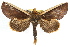  ( - RBMIS-1207)  @14 [ ] CreativeCommons - Attribution (2010) Unspecified Centre for Biodiversity Genomics