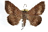  ( - RBMIS-1214)  @15 [ ] CreativeCommons - Attribution (2010) Unspecified Centre for Biodiversity Genomics