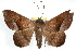  ( - RBMIS-1215)  @14 [ ] CreativeCommons - Attribution (2010) Unspecified Centre for Biodiversity Genomics