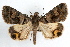  ( - RBMIS-1231)  @14 [ ] CreativeCommons - Attribution (2010) Unspecified Centre for Biodiversity Genomics