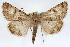  ( - RBMIS-1273)  @15 [ ] CreativeCommons - Attribution (2010) Unspecified Centre for Biodiversity Genomics