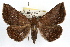  ( - RBMIS-1292)  @14 [ ] CreativeCommons - Attribution (2010) Unspecified Centre for Biodiversity Genomics