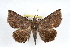  ( - RBMIS-1298)  @13 [ ] CreativeCommons - Attribution (2010) Unspecified Centre for Biodiversity Genomics