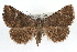 ( - RBMIS-1324)  @13 [ ] CreativeCommons - Attribution (2010) Unspecified Centre for Biodiversity Genomics