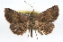  ( - RBMIS-1327)  @13 [ ] CreativeCommons - Attribution (2010) Unspecified Centre for Biodiversity Genomics