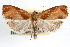 ( - RBMIS-1410)  @11 [ ] CreativeCommons - Attribution (2010) Unspecified Centre for Biodiversity Genomics