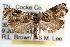  ( - RBMIS-1416)  @15 [ ] CreativeCommons - Attribution (2010) Unspecified Centre for Biodiversity Genomics