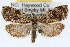  ( - RBMIS-1434)  @14 [ ] CreativeCommons - Attribution (2010) Unspecified Centre for Biodiversity Genomics