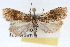  ( - RBMIS-1436)  @11 [ ] CreativeCommons - Attribution (2010) Unspecified Centre for Biodiversity Genomics