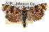  ( - RBMIS-1438)  @11 [ ] CreativeCommons - Attribution (2010) Unspecified Centre for Biodiversity Genomics