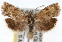  ( - RBMIS-1440)  @15 [ ] CreativeCommons - Attribution (2010) Unspecified Centre for Biodiversity Genomics