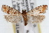  ( - RBMIS-1449)  @13 [ ] CreativeCommons - Attribution (2010) Unspecified Centre for Biodiversity Genomics