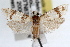  ( - RBMIS-1451)  @11 [ ] CreativeCommons - Attribution (2010) Unspecified Centre for Biodiversity Genomics