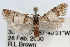  ( - RBMIS-1453)  @11 [ ] CreativeCommons - Attribution (2010) Unspecified Centre for Biodiversity Genomics