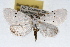  ( - RBMIS-1538)  @14 [ ] CreativeCommons - Attribution (2009) Unspecified Centre for Biodiversity Genomics