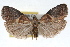 ( - RBMIS-1643)  @11 [ ] CreativeCommons - Attribution (2009) Unspecified Centre for Biodiversity Genomics