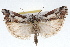  ( - RBMIS-1678)  @13 [ ] CreativeCommons - Attribution (2009) Unspecified Centre for Biodiversity Genomics