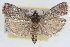  ( - RBMIS-1694)  @11 [ ] CreativeCommons - Attribution (2009) Unspecified Centre for Biodiversity Genomics