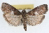  ( - RBMIS-1697)  @11 [ ] CreativeCommons - Attribution (2009) Unspecified Centre for Biodiversity Genomics