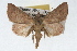  ( - RBMIS-1835)  @14 [ ] CreativeCommons - Attribution (2009) Unspecified Centre for Biodiversity Genomics