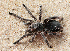  ( - LMO001_2023)  @11 [ ] Unspecified (default): All Rights Reserved  Unspecified Unspecified