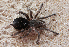  ( - LMO004_2023)  @11 [ ] Unspecified (default): All Rights Reserved  Unspecified Unspecified